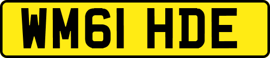 WM61HDE