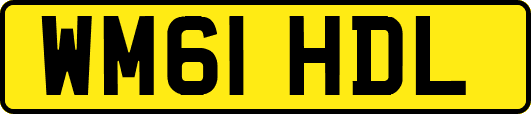 WM61HDL