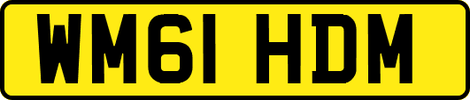 WM61HDM