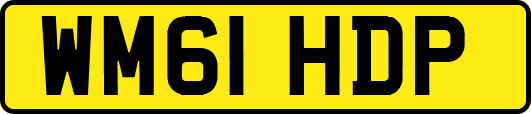 WM61HDP