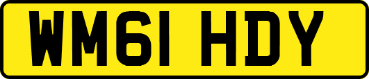 WM61HDY