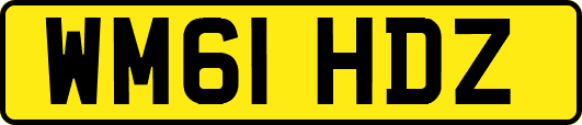 WM61HDZ