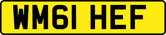 WM61HEF