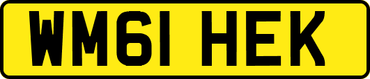 WM61HEK