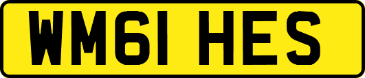 WM61HES