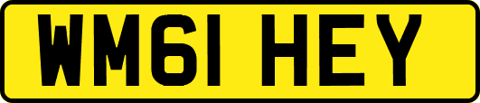 WM61HEY