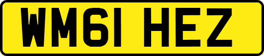 WM61HEZ