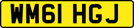 WM61HGJ