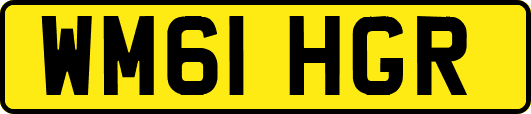 WM61HGR