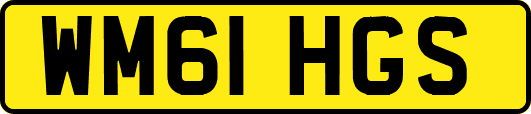WM61HGS