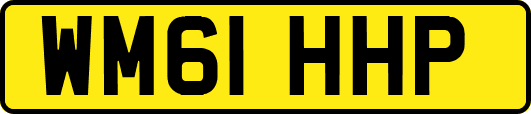 WM61HHP