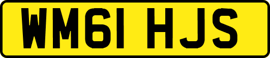 WM61HJS