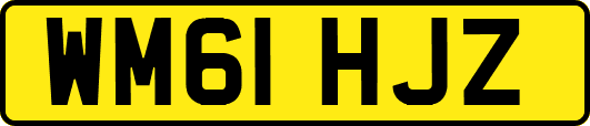WM61HJZ