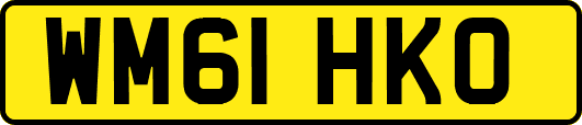 WM61HKO