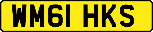 WM61HKS
