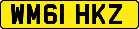WM61HKZ
