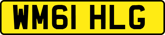 WM61HLG