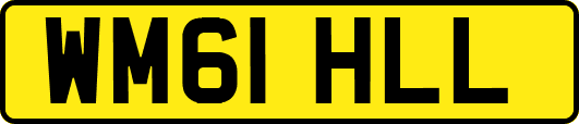 WM61HLL