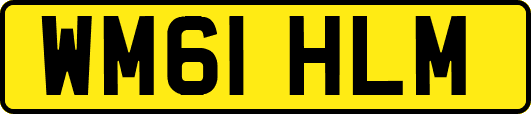 WM61HLM