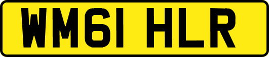 WM61HLR