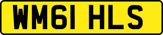 WM61HLS