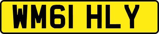 WM61HLY