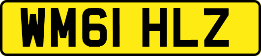 WM61HLZ