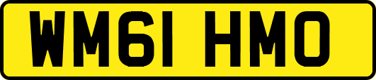 WM61HMO