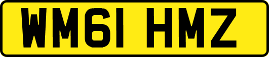 WM61HMZ
