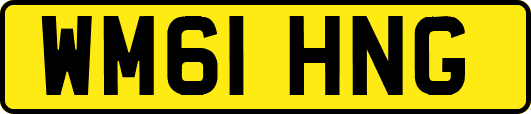 WM61HNG