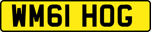 WM61HOG