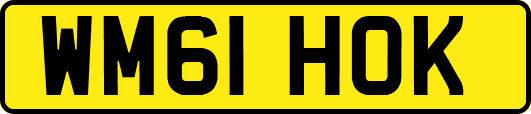 WM61HOK