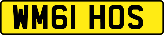 WM61HOS