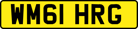 WM61HRG