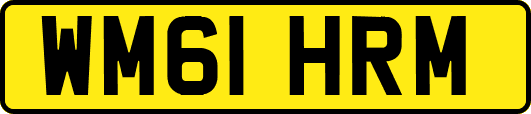 WM61HRM