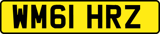 WM61HRZ