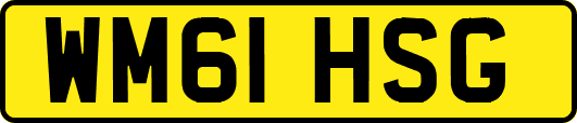 WM61HSG