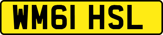 WM61HSL