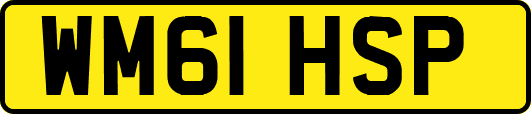 WM61HSP