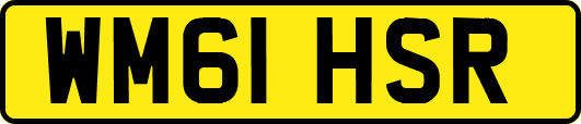 WM61HSR