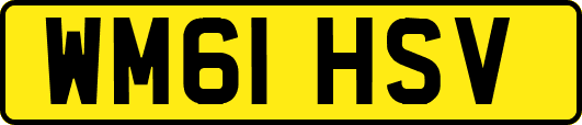 WM61HSV
