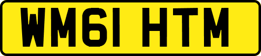 WM61HTM