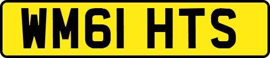 WM61HTS