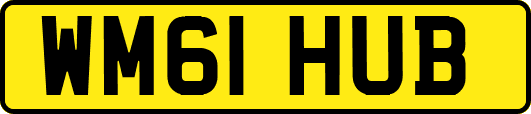 WM61HUB