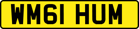 WM61HUM