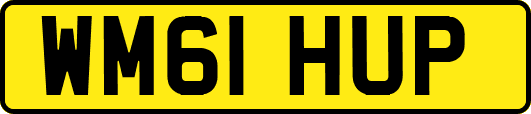 WM61HUP