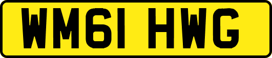 WM61HWG