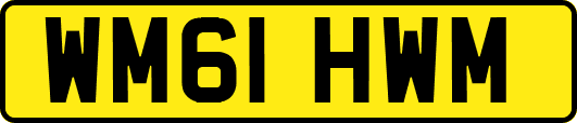 WM61HWM
