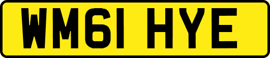 WM61HYE