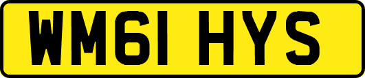 WM61HYS